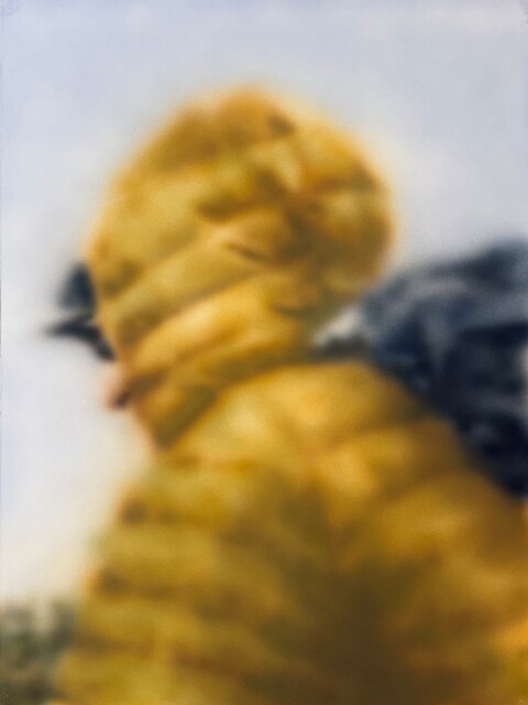 image-zoom