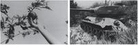 The Progressive Development Plan (Apple/Hand - Tank/Foliage)