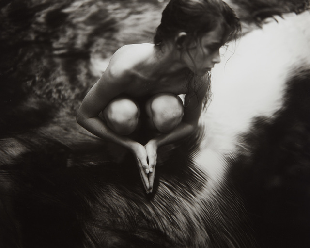 Sally Mann, ‘Shiva at Whistle Creek’, 1992, Photography, Gelatin silver print., Phillips