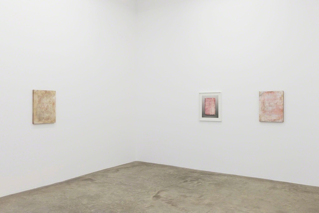 Courtesy Galerie Perrotin
Exhibition view, Galerie Perrotin, Paris (France), 2016 Courtesy Galerie Perrotin
Exhibition view, Galerie Perrotin, Paris (France), 2016
