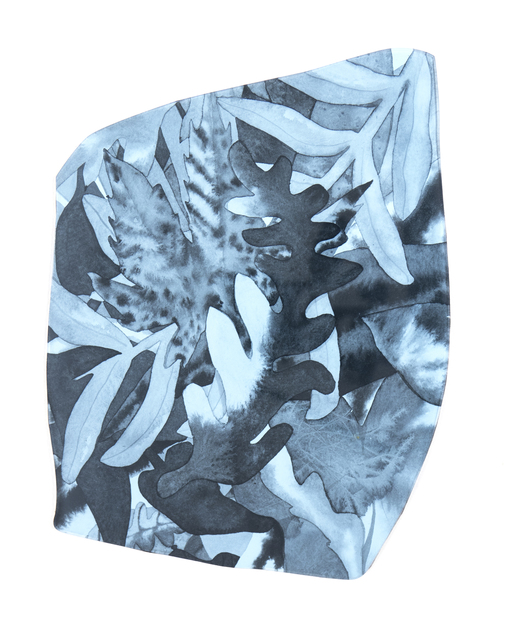 Ashley Zangle, ‘Dish in the Sink Botanical’, 2018, Good Weather