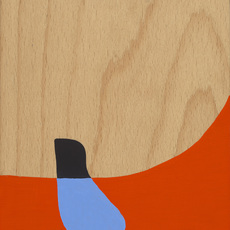 Stephen Ormandy