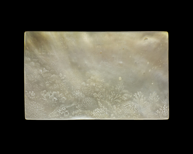Gregory Halili, ‘Deep End III’, 2020, Painting, Oil on gold-lip mother of pearl, Silverlens