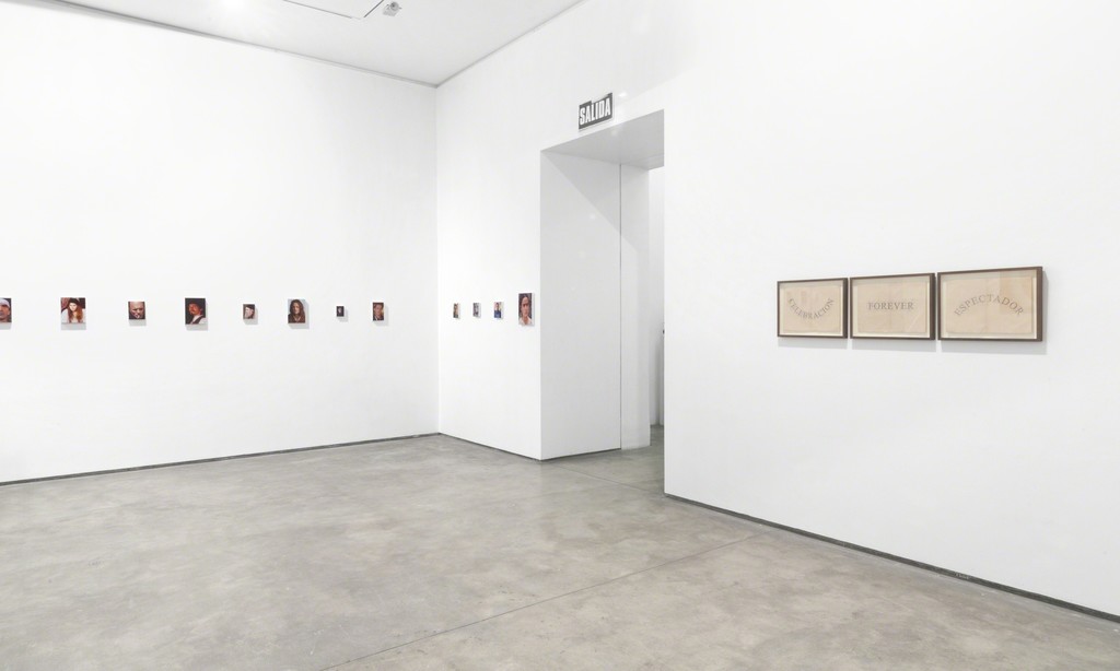 View of series Pictor by Miguel Aguirre and Celebration by Jose Luis Martinat @Galeria Lucia de la Puente, 2015 View of series Pictor by Miguel Aguirre and Celebration by Jose Luis Martinat @Galeria Lucia de la Puente, 2015