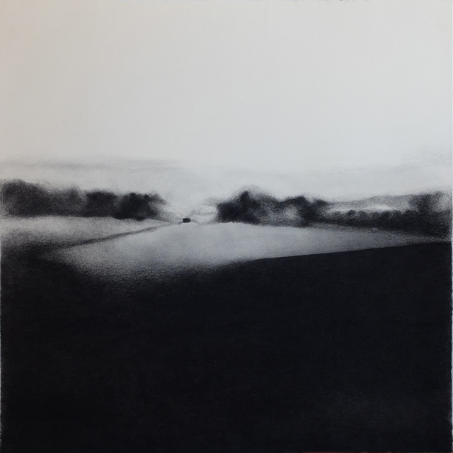 Irene González, ‘Espacios en espera’, 2014, Galería Silvestre
