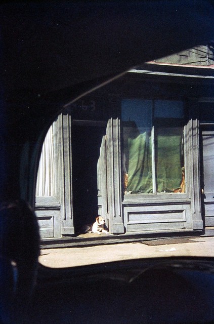 Saul Leiter, ‘Dog in Doorway, Paterson’, 1952, Photography, Chromogenic print; printed later, Howard Greenberg Gallery