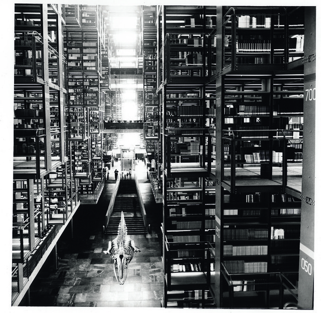 Tomás Casademunt, ‘BV VI, serie Biblioteca Vasconcelos’, 2007, Photography, Pigmentos sobre papel algodon, le laboratoire