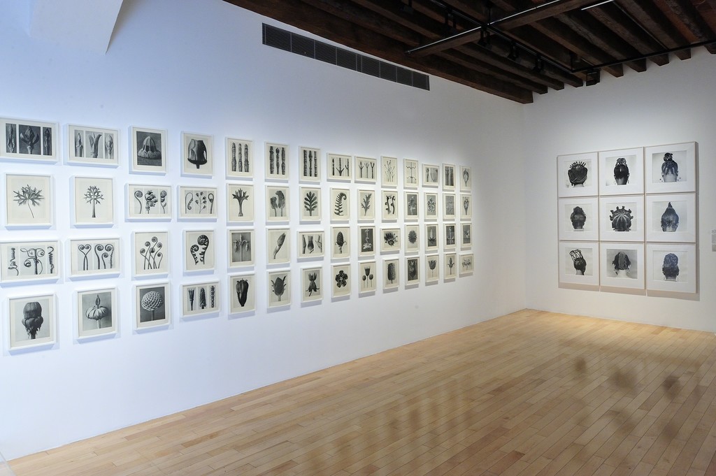 View of "Structures of Identity: Photography from the Walther Collection", Museo Amparo, Puebla, Mexico, 2017. View of "Structures of Identity: Photography from the Walther Collection", Museo Amparo, Puebla, Mexico, 2017.
