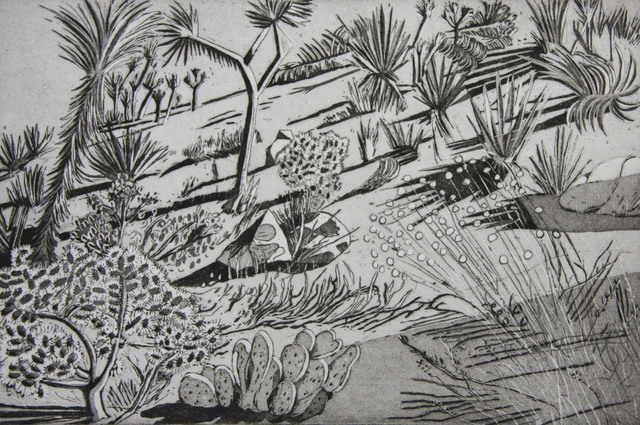 Kate Crook, ‘Joshua Tree #2’, 2017, Print, Lithograph , ed. 50 ,Somerset White paper, acid free, Asher Grey Gallery