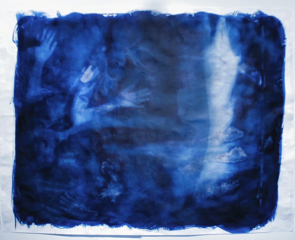 "Nature Play" by Ariana Sturr, 2017, cyanotype, 4' x 5' "Nature Play" by Ariana Sturr, 2017, cyanotype, 4' x 5'