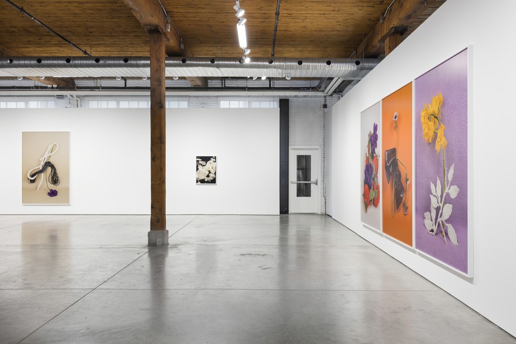 Michelle Bui, Centerfold, 2019, installation view. Michelle Bui, Centerfold, 2019, installation view.