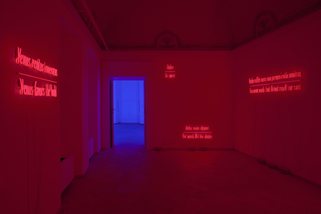 Joseph Kosuth, "Maxima Proposito (Ovidio)", 2017
installation view Joseph Kosuth, "Maxima Proposito (Ovidio)", 2017
installation view