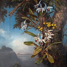 Karl Ernst Papf