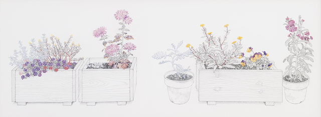 Yukiko Suto, ‘Containers and Potted Plants in My House (自宅のコンテナと鉢植え )’, 2013, Take Ninagawa