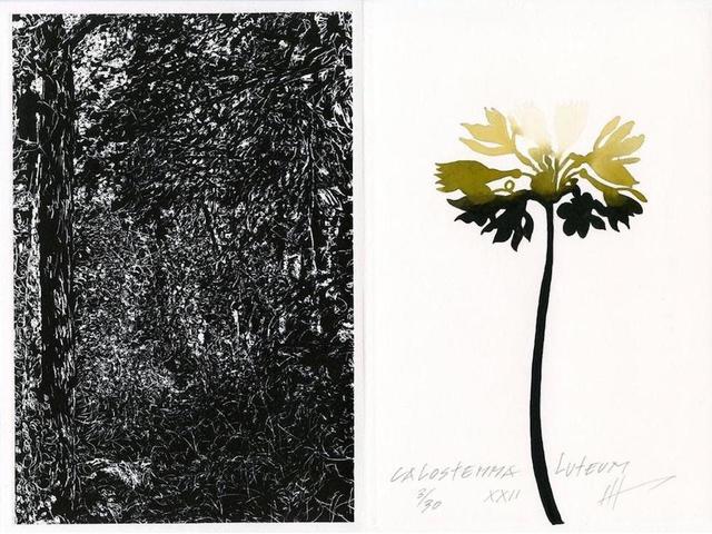 Jan Hendrix, ‘Drawing the Distance’, 2018, Drawing, Collage or other Work on Paper, Aquatint and Watercolor, Proyecto Gráfika 21