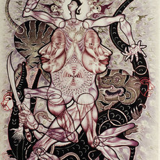 Chusak Srikwan
