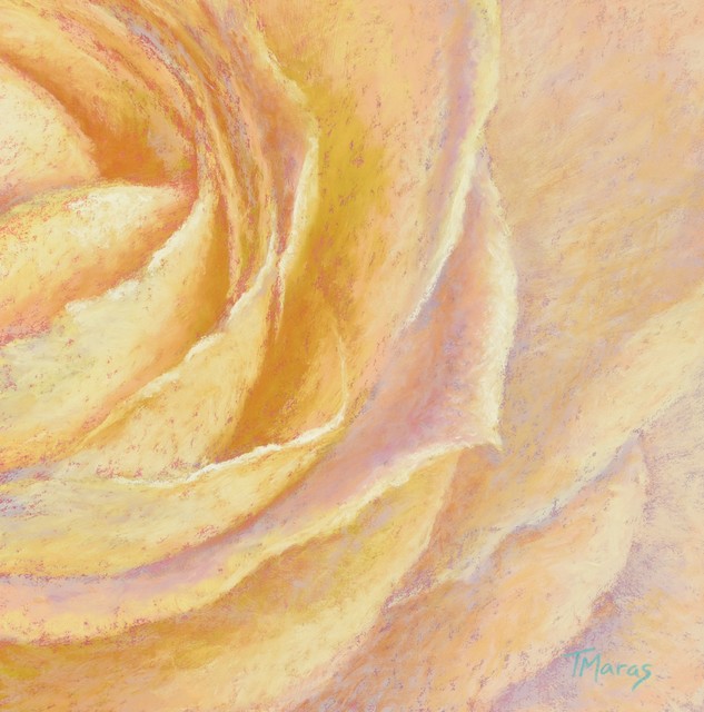 Tracey Maras, ‘Rose Glow I’, 2019, Springfield Art Association