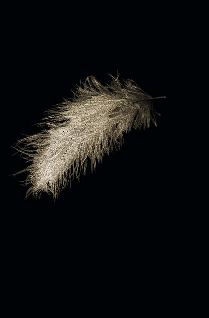 Angelo Musco, ‘P6’, 2015, Photography, Digital Print on metallic paper, Patricia Conde Galería