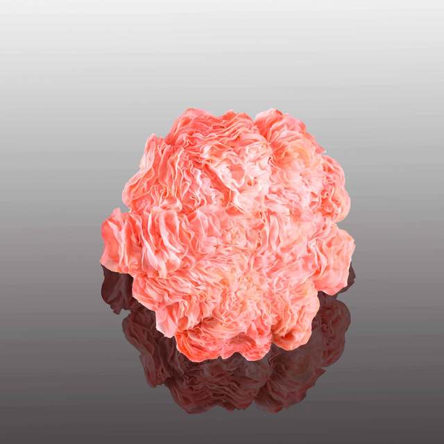 Hsu Wei-Hui, ‘Flower of Life – Smiling to Life (No.2)-2’, 2015, Liang Gallery