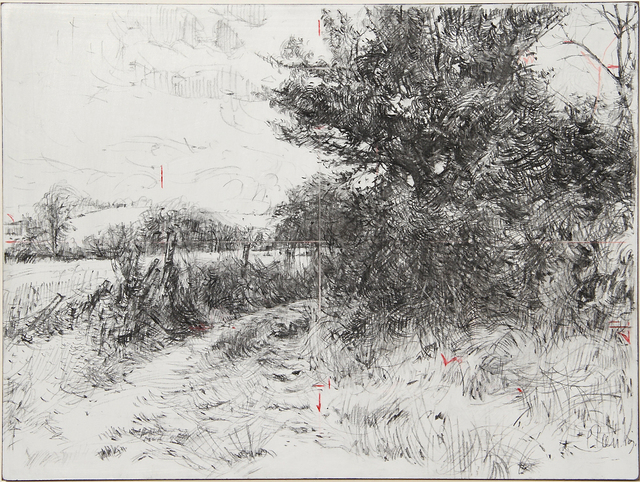 Laurie Steen, ‘On Foot, Drawing #14-19’, 2019, Painting, Conte & Coloured Pencil on gessoed wood panel, Wallace Galleries