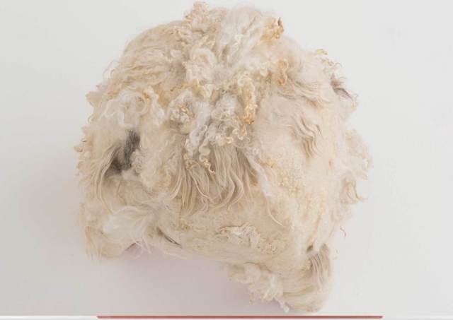 Tanya Aguiñiga, ‘Swaddle Stool (Underbelly)’, 2015, Volume Gallery