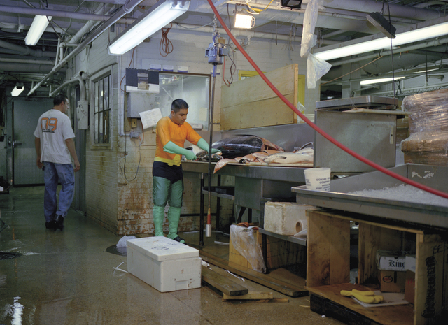Dulce Pinzon, ‘JUVENTINO ROSAS from the State of Mexico works in a fish market in New York. He sends 400 dollars a week.’, Alida Anderson Art Projects