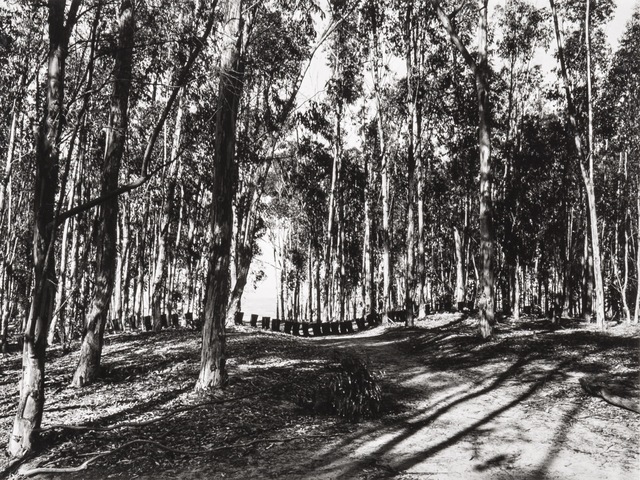 Eleanor Antin, ‘100 Boots Cross Country’, 1971, Richard Saltoun