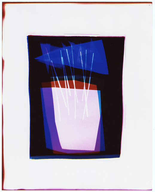 Liz Nielsen, ‘Pendant Plant’, 2020, Photography, Photogram on Fuji Lustre, Unique, Carrie Secrist Gallery