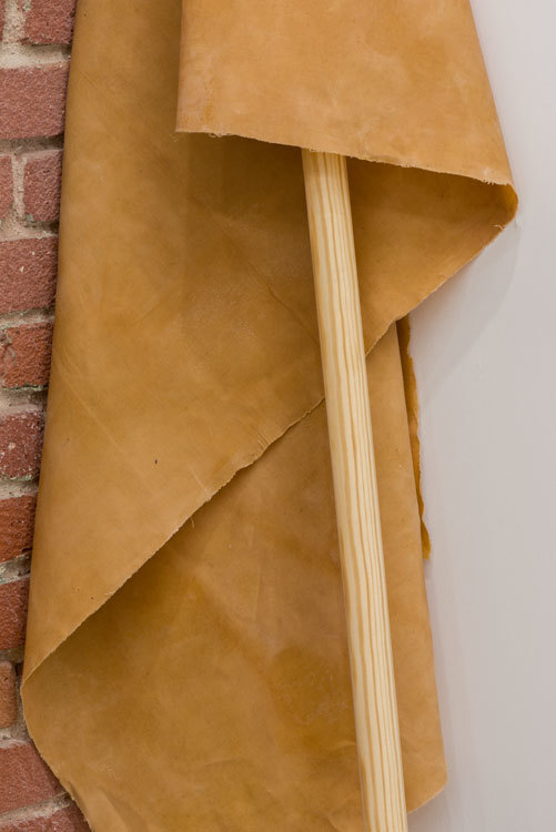 Margarethe Drexel, 'Potentilla erecta. Mens sana in corpore sano.' Installation view, Chimento Contemporary. Photo: Ruben Diaz. Margarethe Drexel, 'Potentilla erecta. Mens sana in corpore sano.' Installation view, Chimento Contemporary. Photo: Ruben Diaz.