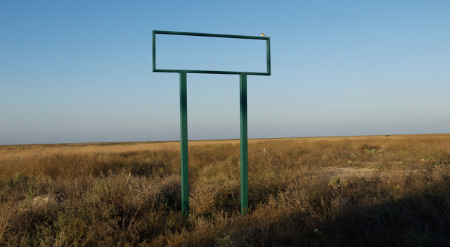 Anna Jermolaewa, ‘Bird on Nothing’, 2015, Photography, C-Print, Charim Galerie