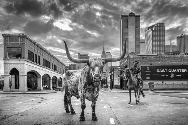 David Yarrow, ‘A Dallas Cowboy’, 2020, Photography, Archival Pigment Print, Hilton Asmus
