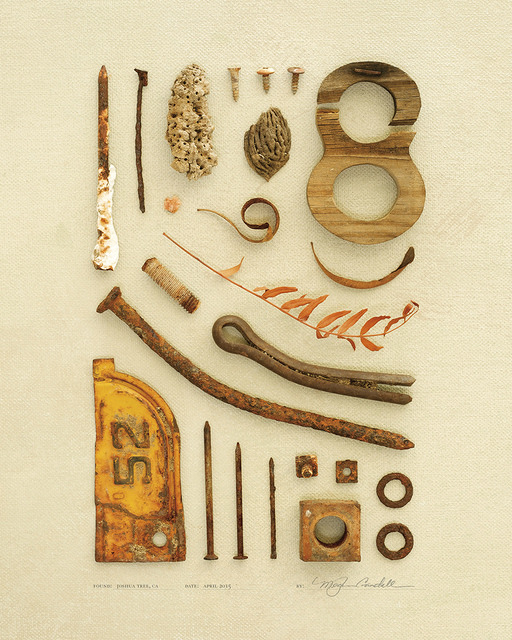 Meghan Crandall, ‘Eight’, 2015, Print, Archival Inkjet print, Asher Grey Gallery