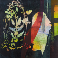 Sean Crossley