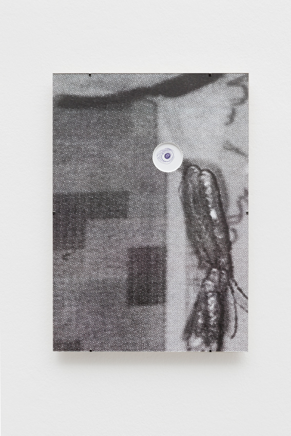 Max Schaffer
Magic Moments III, 2016
Found drawing, digital print on passe-partout cardboard, frame (1 out of 3)
29,7 x 42 cm
Courtesy Max Schaffer
and Gabriele Senn Galerie, Wien
Photo: Tobias Hübel Max Schaffer
Magic Moments III, 2016
Found drawing, digital print on passe-partout cardboard, frame (1 out of 3)
29,7 x 42 cm
Courtesy Max Schaffer
and Gabriele Senn Galerie, Wien
Photo: Tobias Hübel