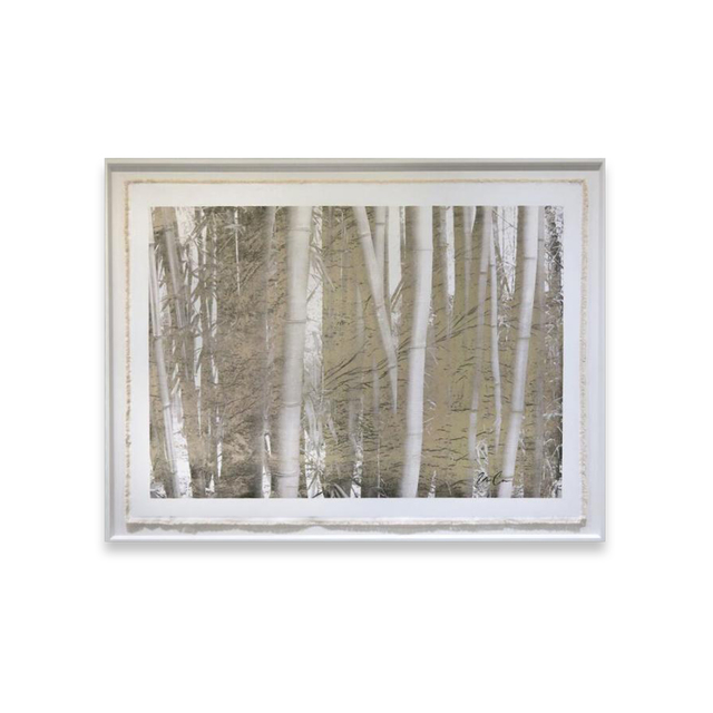 Bill Claps, ‘Bamboo Forest’, Exhibit by Aberson