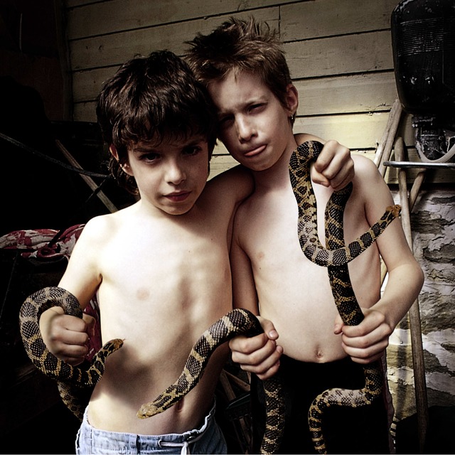 Tom Chambers, ‘Charmers’, 2003, photo-eye Gallery
