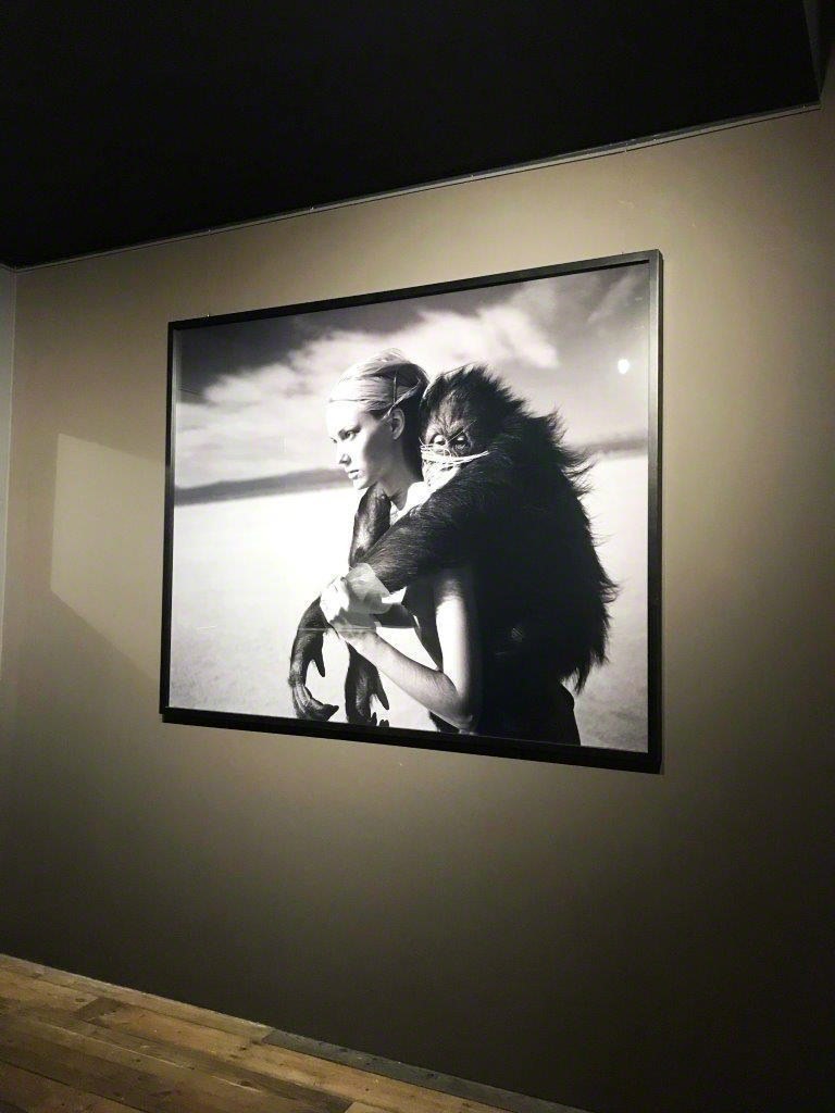 Michel Comte - Solo Expositie. Kunsthuis Amsterdam. Nov - Dec 2018 Michel Comte - Solo Expositie. Kunsthuis Amsterdam. Nov - Dec 2018