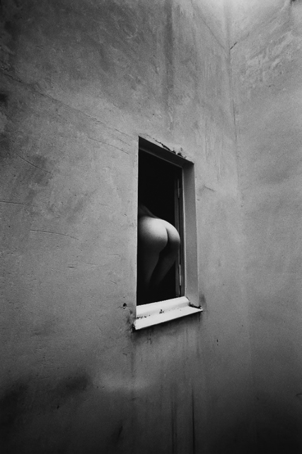 ira stehmann fine art