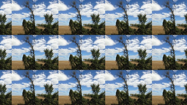 Sara Ludy, ‘Loudoun’, 2013, bitforms gallery