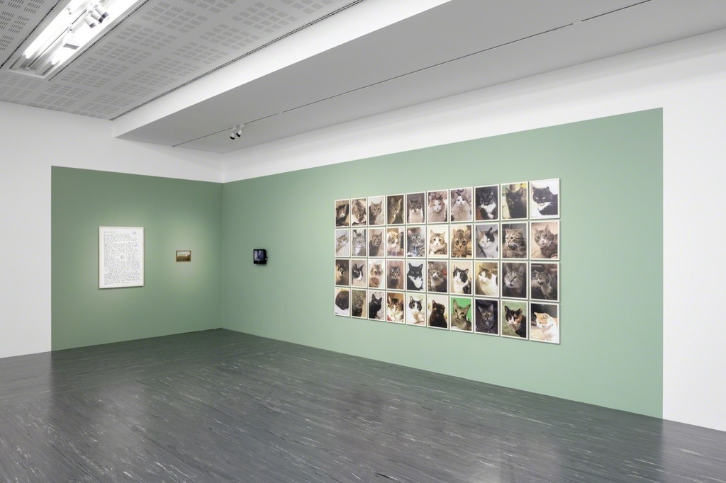 Anna Jermolaewa, Untitled (Hermitage Cats), 2013, Purchased with Austrian Gallery Support funding, © Belvedere, Vienna Anna Jermolaewa, Untitled (Hermitage Cats), 2013, Purchased with Austrian Gallery Support funding, © Belvedere, Vienna