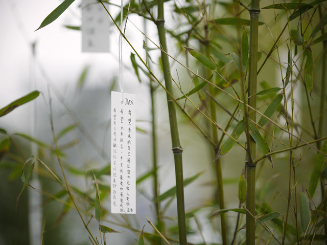 Yoko Ono, ‘'Wish Tree Garden'’, 2015, Faurschou Foundation