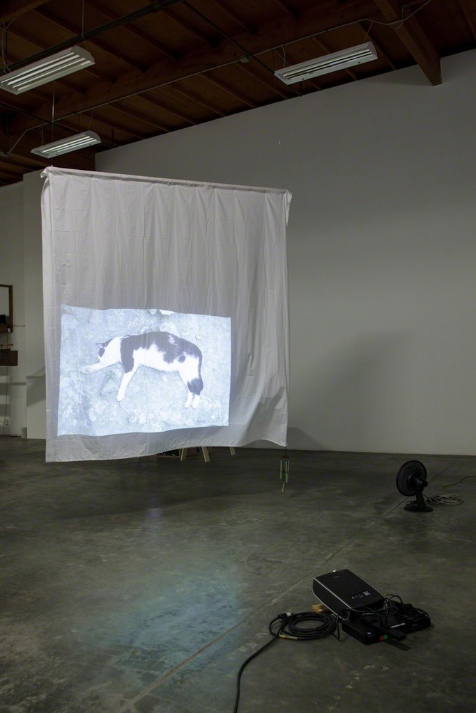 Simone Forti, Largo Argentina, 1968/2012
Video projection, linen sheet, wind chime, oscillating fan
Installation at The Box, Los Angeles
Image courtesy of the artist and The Box, LA
Photo: Fredrik Nilsen Simone Forti, Largo Argentina, 1968/2012
Video projection, linen sheet, wind chime, oscillating fan
Installation at The Box, Los Angeles
Image courtesy of the artist and The Box, LA
Photo: Fredrik Nilsen
