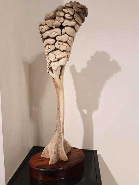 Carl Roberts, ‘Ghostly giants that pass through Pierneefs plain’, Sculpture, Bone (Elephant), The Melrose Gallery