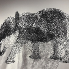 Antonio Massarutto