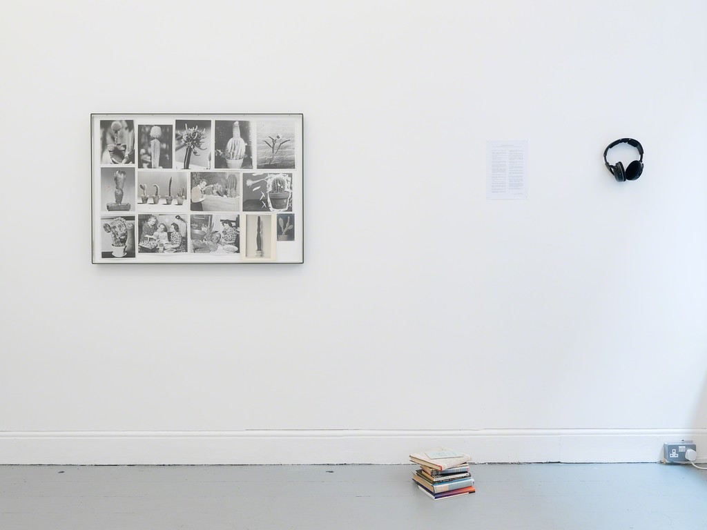 The Infinite Lawn. Installation View.
Yann Sérandour, Cactus Cuttings #3, 2014.
Falke Pisano,
29 Decisions for a Time Capsule Radio Piece, 2006.
Photo by Original&theCopy.
Courtesy of the artists, gb agency, Ellen de Bruijne and Tenderpixel. The Infinite Lawn. Installation View.
Yann Sérandour, Cactus Cuttings #3, 2014.
Falke Pisano,
29 Decisions for a Time Capsule Radio Piece, 2006.
Photo by Original&theCopy.
Courtesy of the artists, gb agency, Ellen de Bruijne and Tenderpixel.