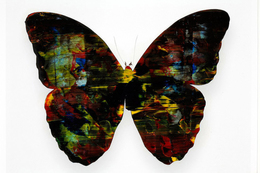 Stan Gaz, ‘Butterfly 4’, 2010, ClampArt