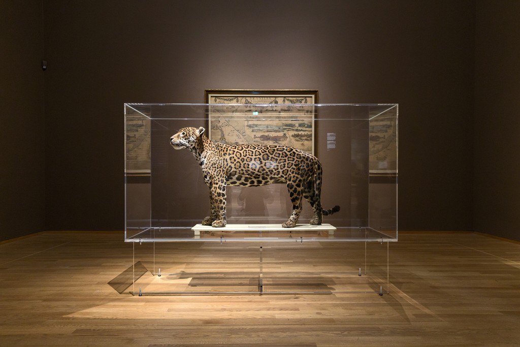 Installation view, "Frans Post" at Rijksmuseum. Photo Olivier Middendorp Installation view, "Frans Post" at Rijksmuseum. Photo Olivier Middendorp