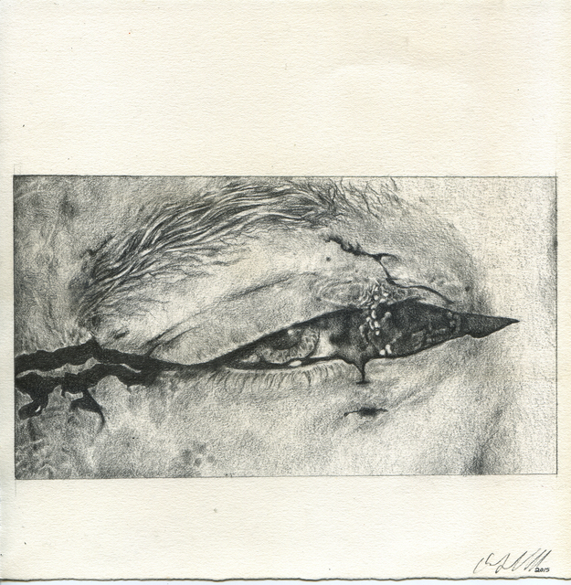 Olivia Gibb, ‘Cut Eye’, 2015, Cerbera Gallery