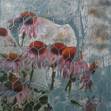 CathyJean Clark