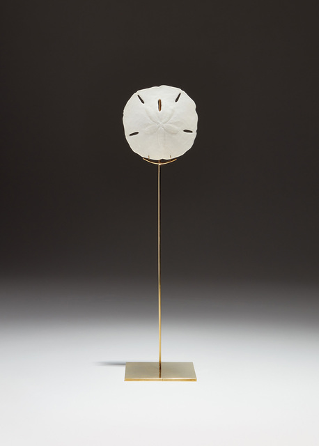 Carol Bove, ‘Sand Dollar Sculpture’, 2008, Sculpture, Sand dollar and brass, Phillips